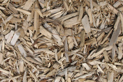 biomass boilers Pettinain