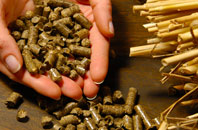 free Pettinain biomass boiler quotes